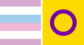 The two intersex flags. The left being lavender, white, blue blurred into pink, white, and lavender. The right being yellow with a purple circle outline. 